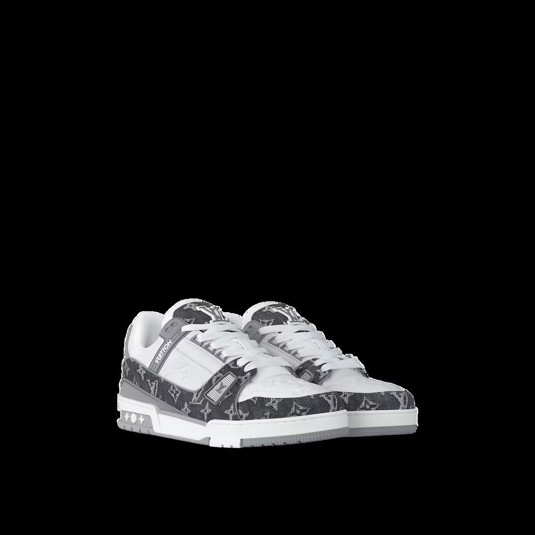 Louis Vuitton Skate Gris