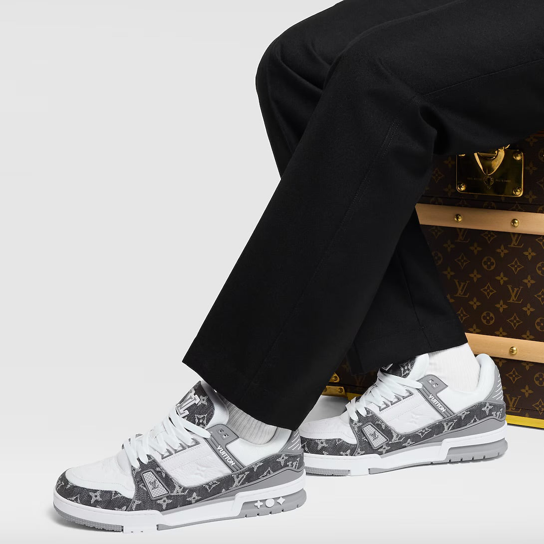 Louis Vuitton Skate Gris