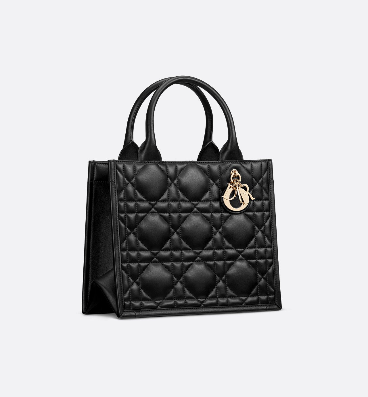 Sac Dior Book Tote Small